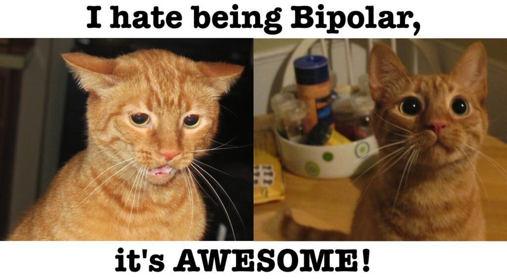 I hate being bipolar